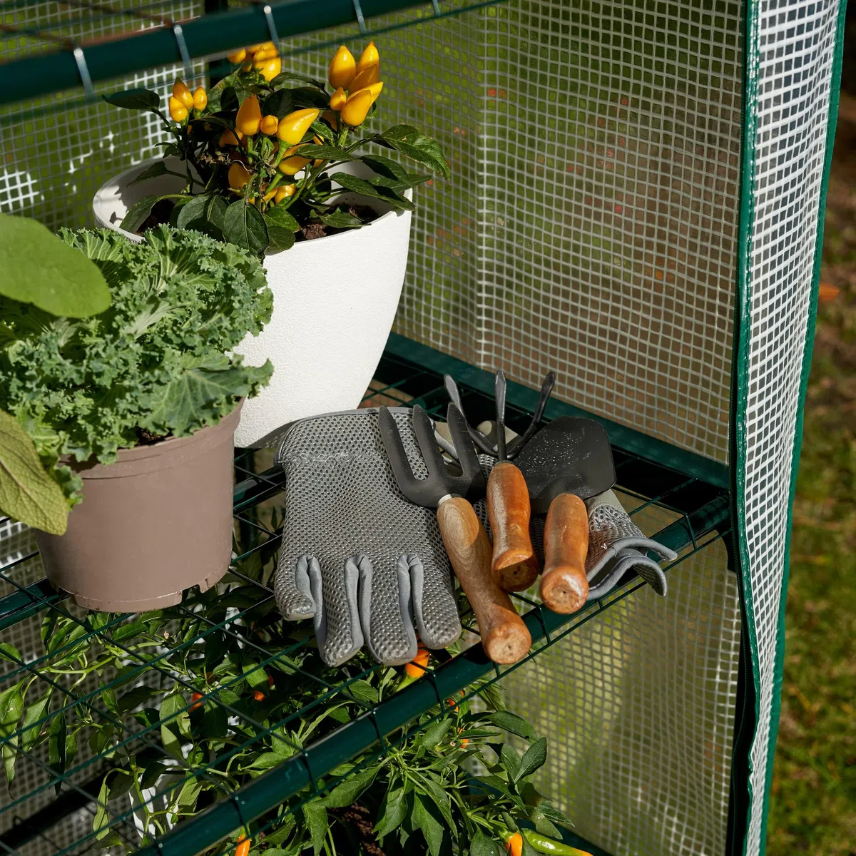 Invernadero de Terraza y Jardín - para Cultivar Tus Propias Verduras y Flores - con Cubierta de Plástico y Estantes de Alambre Resistentes - Ideal para Espacios Reducidos (4 Niveles)