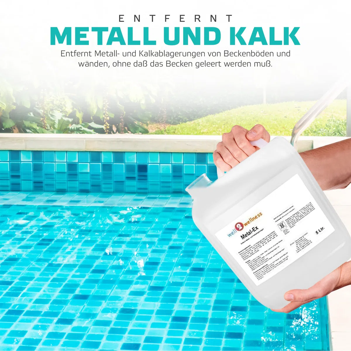 well2wellness Eliminador de hierro para piscinas y piscinas Metal-Ex, 10 l