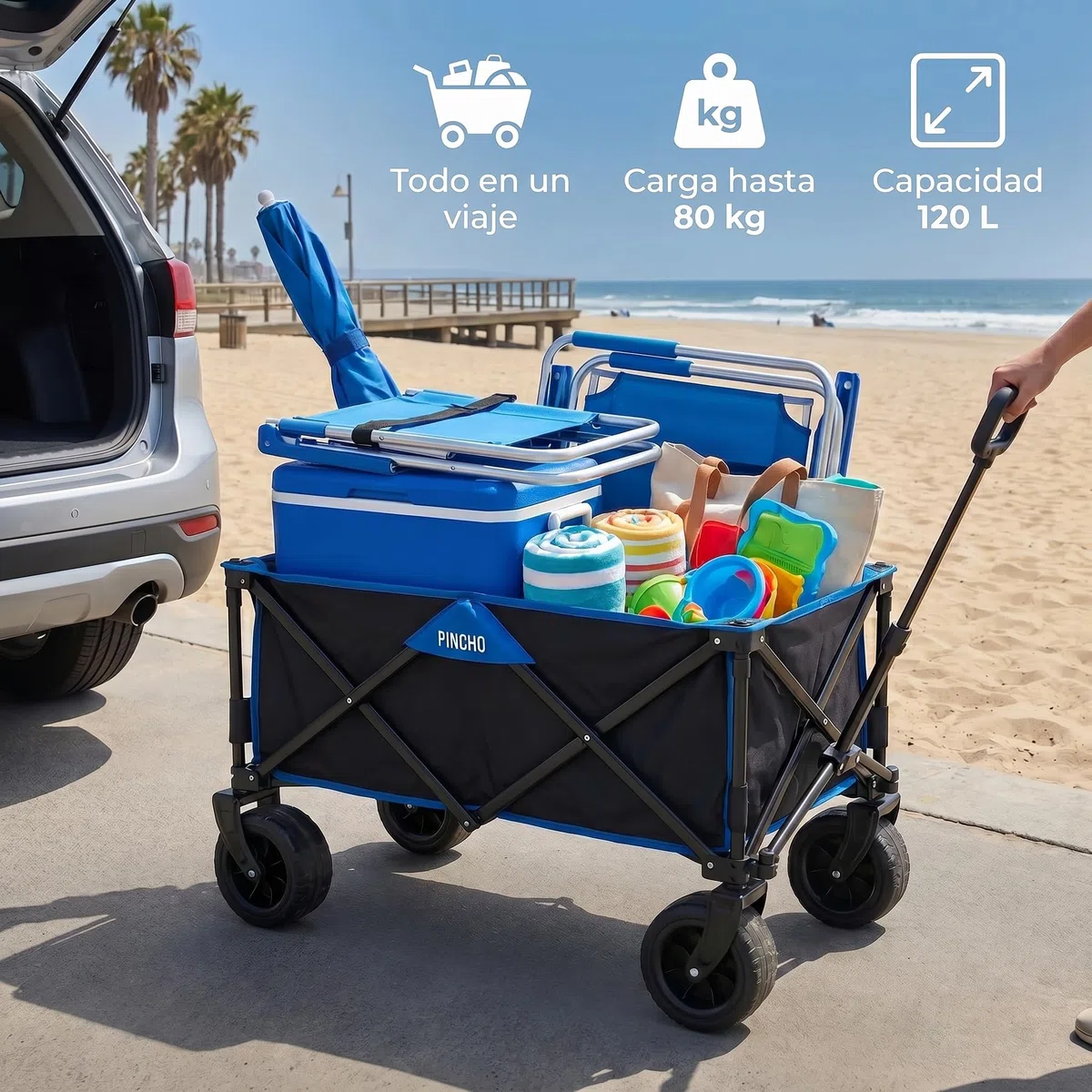 Carro Playa Plegable - PINCHO - Carrito De Playa Plegable, Carro Transporte Plegable con Asa Telescópica, Carretilla Plegable con Ruedas y Frenos - 4 Ruedas, Carga 55 kg, Plegado Compacto, Bolsillo