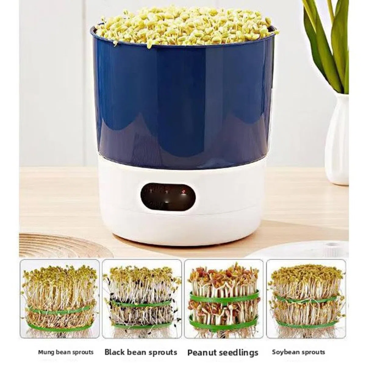 Qcwwy Máquina de Brotes de Frijol, de Pulverización Giratorio de 360 ​​grados Kits de Cultivo de Germinador de Semillas Diseño de Bloque de Luz Fabricante de Brotes Circulación (Normativa europea