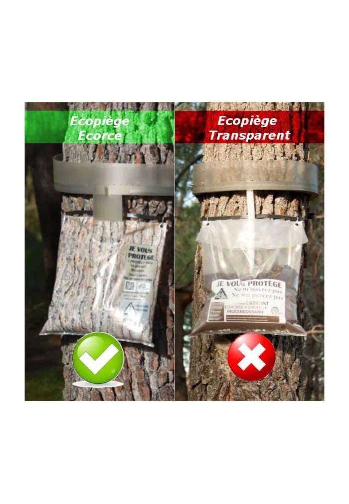Bolsa colector y Masilla para Trampa para orugas processionnaires del Pin – AG-pprokit