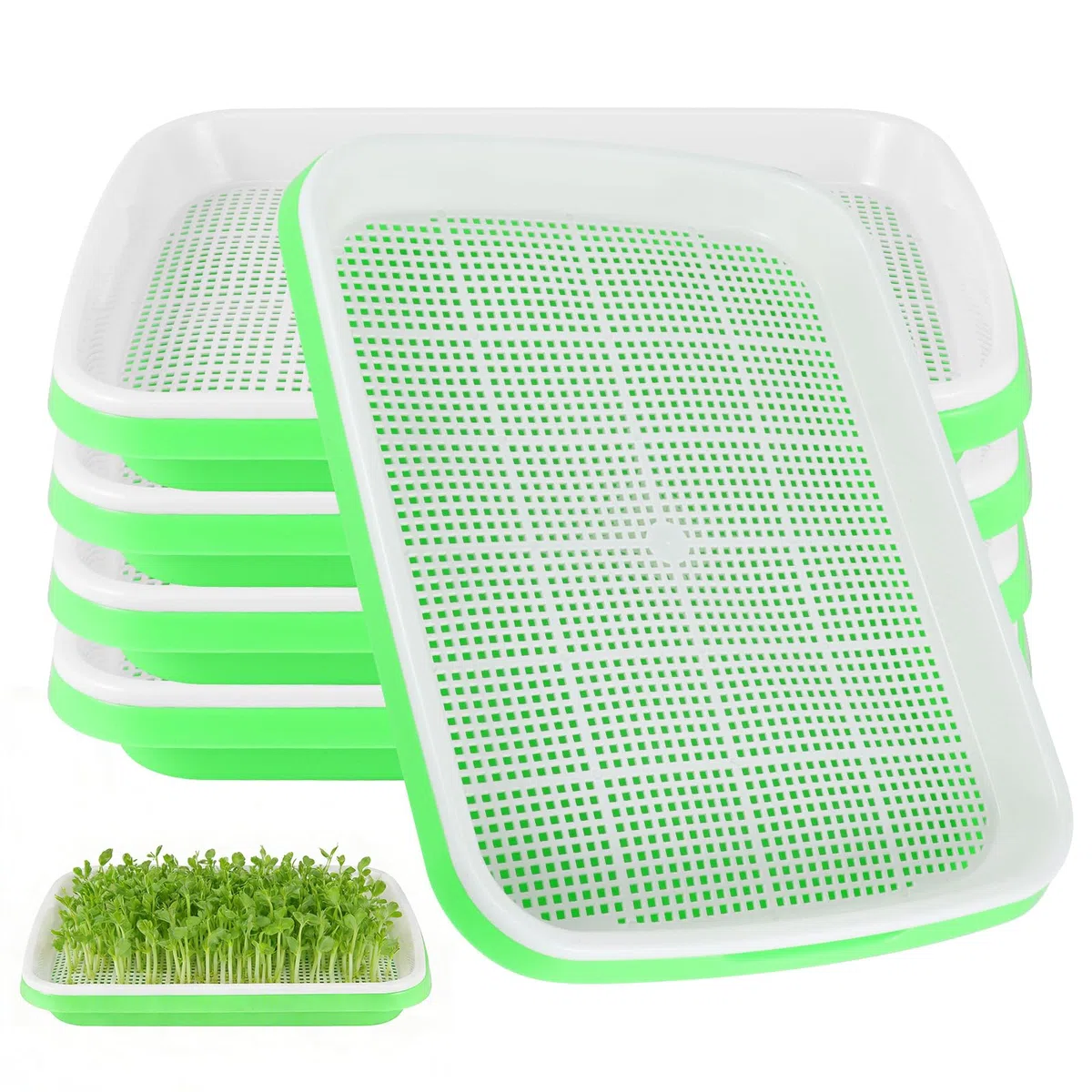 ZONJIE 5 bandejas para germinar brotes – Seed Sprouter Tray – Bandeja para germinar 32 cm x 25 cm Berro bandeja germinación bandeja para germinar microgreens, berros, frijol mungo, alfalfa, hierba de