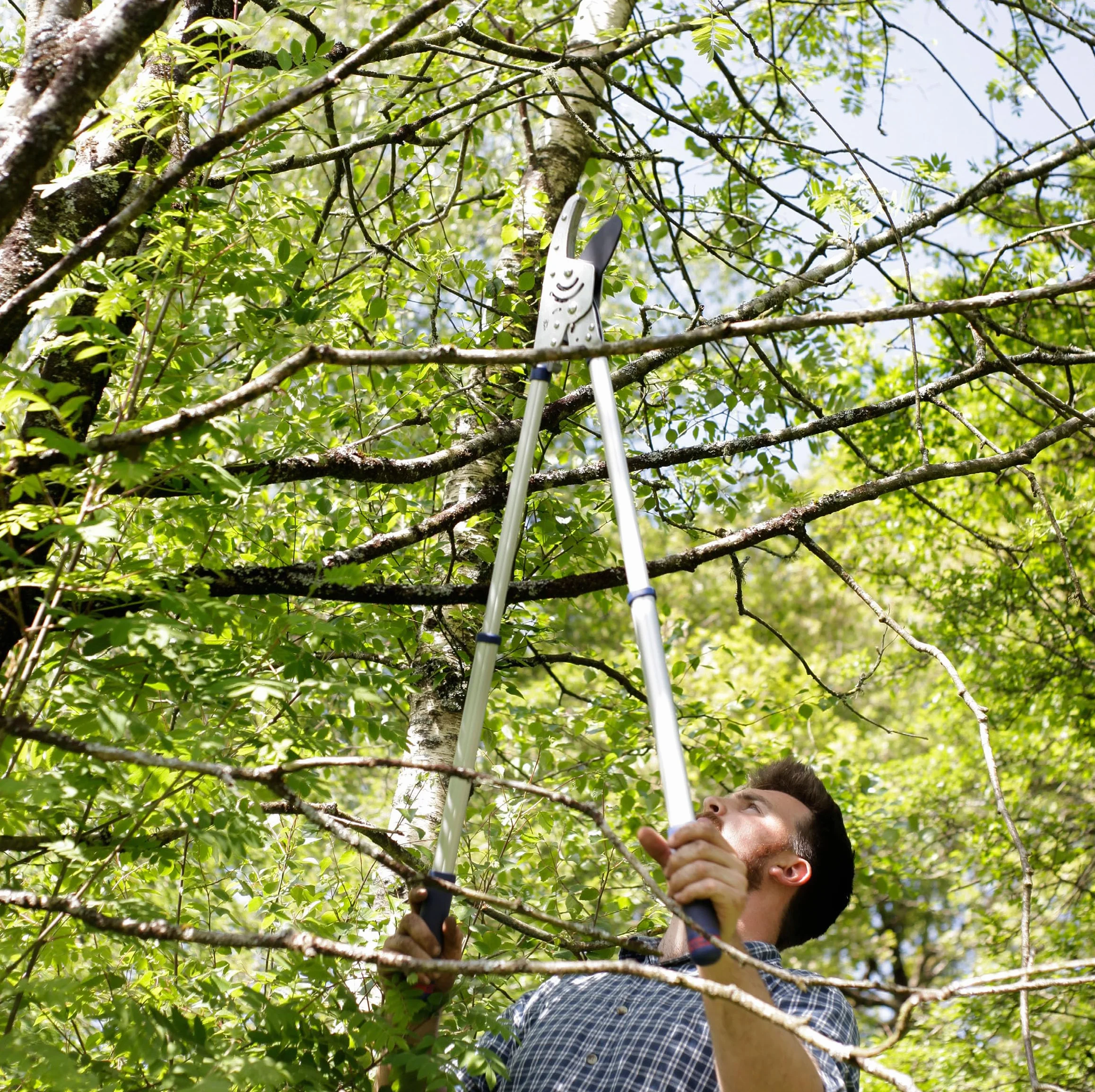 Spear & Jackson 8290RS Recortadora de ramas de trinquete telescópica de uso pesado Razorsharp Advance