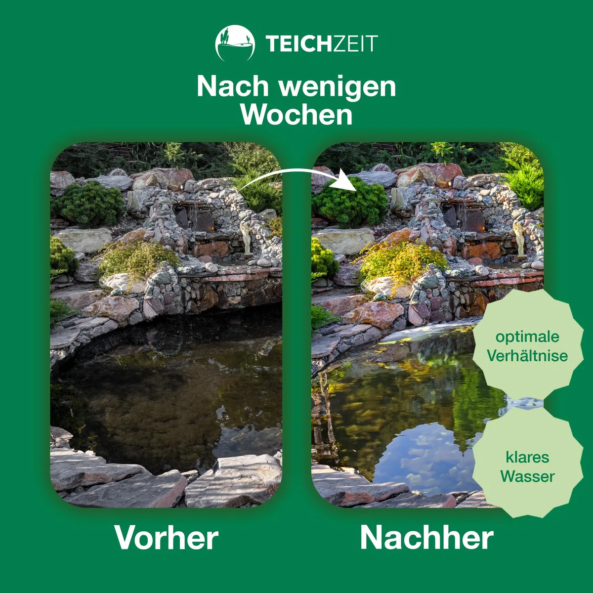Juego de eliminación de lodo de estanque orgánico, set de cuidado para estanques de jardín y estanque de peces, 1 removedor de lodo de estanque MudEx y 1 bacteria de ácido láctico bio activo