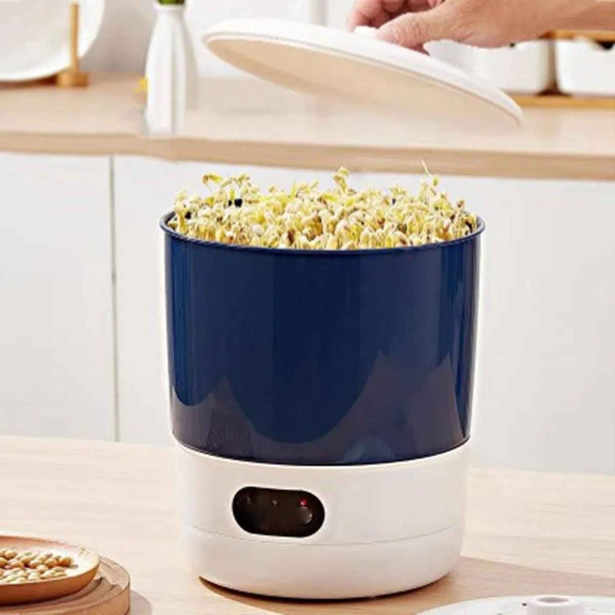 Qcwwy Máquina de Brotes de Frijol, de Pulverización Giratorio de 360 ​​grados Kits de Cultivo de Germinador de Semillas Diseño de Bloque de Luz Fabricante de Brotes Circulación (Normativa europea